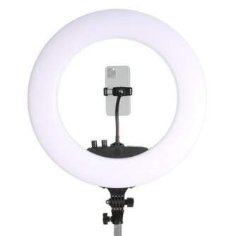 LED Gredzenveida lampas - StudioKing LED Ring Lamp Set 48W LR 480 with Batteries - ātri pasūtīt no ražotāja
