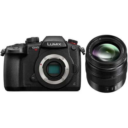 Panasonic Lumix G DC-GH5S + Panasonic LUMIX G Vario 12-60mm f/3.5-5.6 Asph. Power O.I.S (H-FS12060) (Black)
