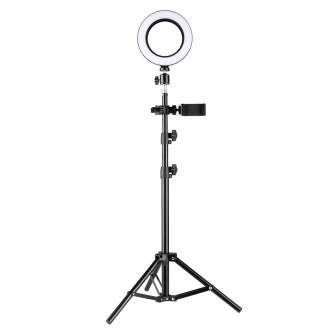 Ring Light - HomeStudio Starter-Kit Ring Light phone holder tripod microphone levalier USB-C adapter green chromakey background - buy today in store and with delivery