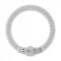 Ring Light - Newell RL-10A Arctic White LED ring w.43cm tripod - buy today in store and with delivery