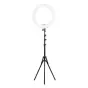 Ring Light - Newell RL-10A Arctic White LED ring w.43cm tripod - buy today in store and with delivery