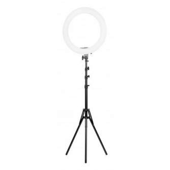 LED Gredzenveida lampas - Newell RL-10A Arctic White LED ring w.43cm tripod - быстрый заказ от производителя