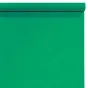 Фоны - Falcon Eyes Background Paper 46 Chroma Green 0.57 x11 m - купить сегодня в магазине и с доставкой