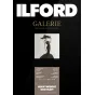 Photo paper for printing - ILFORD GALERIE HEAVYWEIGHT DUO MATT 310G A4 25 SHEETS 2002741 - quick order from manufacturer