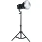 Стойки для света - NANLITE LS-60 LIGHT STAND LS-L60-5/8 - быстрый заказ от производителя