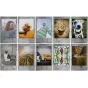 Instantkameru filmiņas - Colorfilm instax mini STONE GRAY (10PK) - perc šodien Master Foto veikalā un ar piegādi