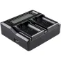 Chargers for Camera Batteries - Newell DC-LCD two-channel charger for NP-F, NP-FM series batteries - quick order from manufacturer