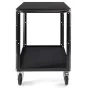 Other studio accessories - CONECARTS Large cart - Workstation version - two shelves (CNC1#B0A00W01R2BWS) - quick order from manufacturer