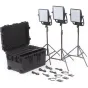 LED панели - Litepanels Astra 3X Traveler Trio Gold Mount Kit (935-3209) - быстрый заказ от производителя