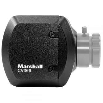 Cinema Pro видео камеры - Marshall CV366 - быстрый заказ от производителя