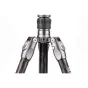Foto statīvi - Benro FRHN24CVX25 karbona statīvs ar lodveida galvu - ātri pasūtīt no ražotāja