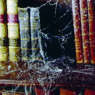 Special effects for product photography - Cobweb effect 300ml - buy today in Master Foto store and with delivery