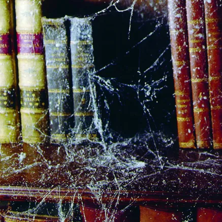 <br /> <b>Notice</b>: Trying to get property of non-object in <b>/var/www/vhosts/masterfoto.lv/httpdocs/tools/smarty/sysplugins/smarty_internal_templatebase.php(157) : eval()'d code</b> on line <b>201</b><br /> 