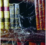 Спецэффекты для предметной фотосъемки - Искусственная паутина в баллончике, 300мл - купить сегодня в магазине Master Foto и с доставкойСпецэффекты для предметной фотосъемки - Искусственная паутина в баллончике, 300мл - купить сегодня в магазине Master Foto и с доставкой