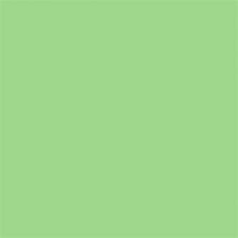 Backgrounds - Superior Background Paper 63 Apple 2.72 ( 73 Summer Green) x 11m - buy today in store and with delivery