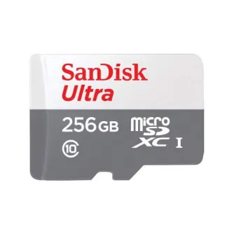 Atmiņas kartes - SANDISK MEMORY MICRO SDXC 256GB UHS-I SDSQUNR-256G-GN3MN - perc šodien veikalā un ar piegādi