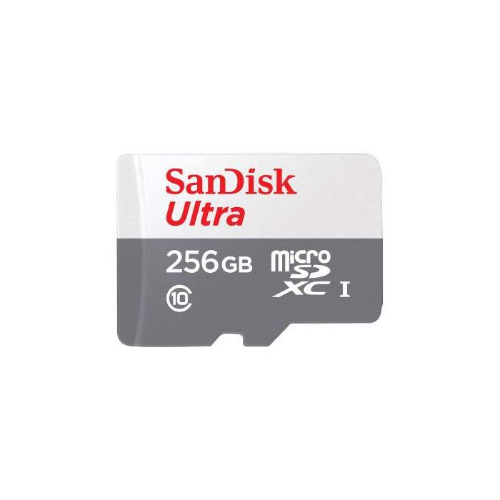 Карты памяти - SANDISK MEMORY MICRO SDXC 256GB UHS-I SDSQUNR-256G-GN3MN - купить сегодня в магазине и с доставкой