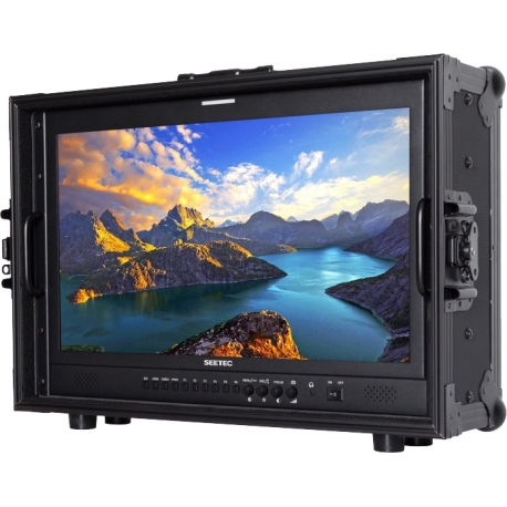 LCD мониторы для съёмки - SEETEC MONITOR P215-9HSD-CO CARRY-ON BROADCAST DIRECTOR P215-9HSD-CO - быстрый заказ от производителя