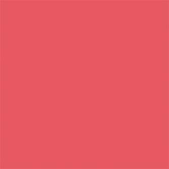 Backgrounds - Superior Background Paper 91 Watermelon 2.72 x 11m - quick order from manufacturer