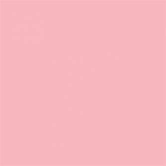 Фоны - Superior Background Paper 17 Carnation Pink 1.35 x 11m - быстрый заказ от производителя