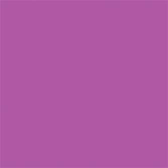 Backgrounds - Superior Achtergrondrol Grape (nr 76) 1.35m x 11m P101276 - quick order from manufacturer