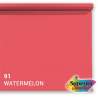 Фоны - Superior Background Paper 91 Watermelon 1.35 x 11m - быстрый заказ от производителяФоны - Superior Background Paper 91 Watermelon 1.35 x 11m - быстрый заказ от производителя