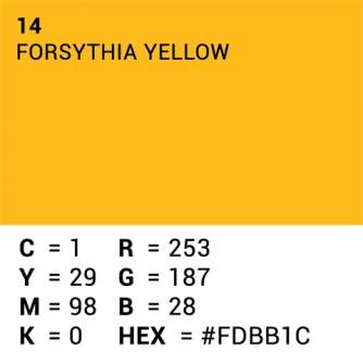 Foto foni - Superior Achtergrond Rol Forsythia Yellow (nr 14) 2.72m x 11m P111414 - купить сегодня в магазине и с доставкой