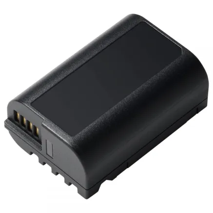 Panasonic Pro Panasonic DMW-BLK22E Battery