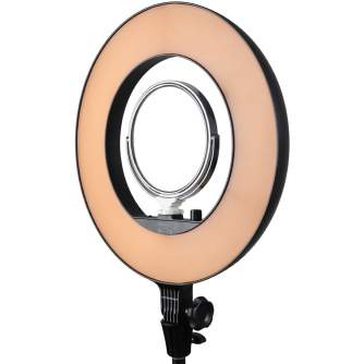 Ring Light - Godox LR180 Daylight Ringlight 5600K - buy today in store and with delivery