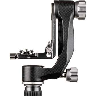 Tripod Heads - Benro GH5CMini karbona 360° galva - quick order from manufacturer