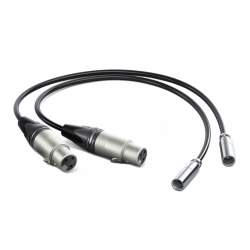 Провода, кабели - Blackmagic Design Blackmagic Mini XLR Adapter Cables (2 pcs) - быстрый заказ от производителя