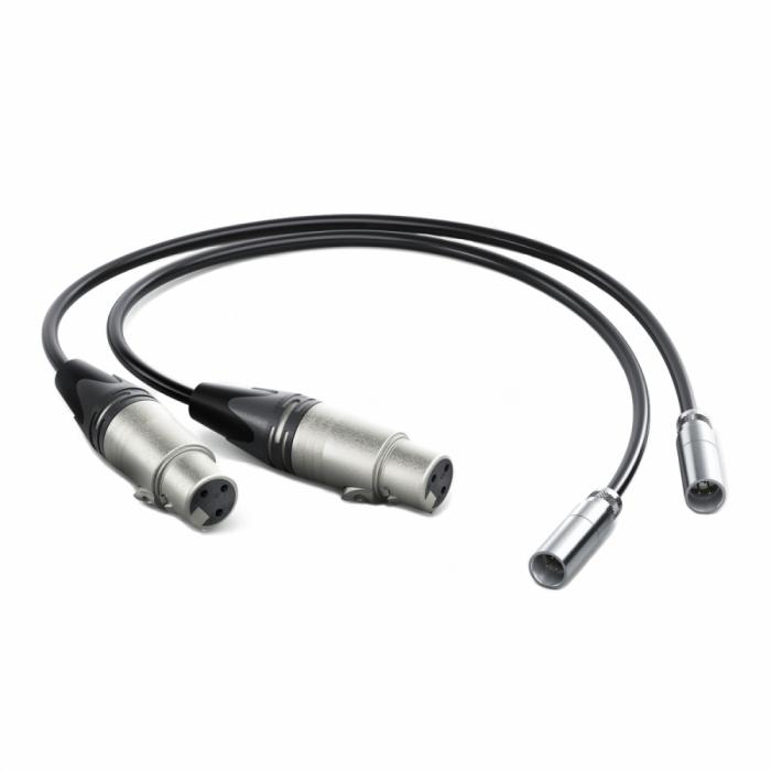 Wires, cables for video - Blackmagic Design Blackmagic Mini XLR Adapter Cables (2 pcs) - quick order from manufacturer