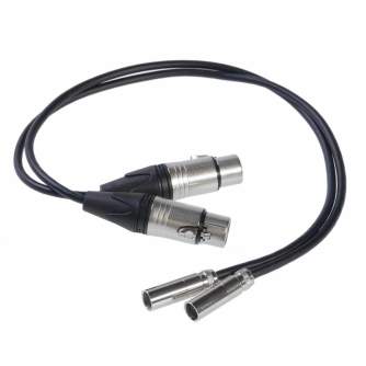 Wires, cables for video - Blackmagic Design Blackmagic Mini XLR Adapter Cables (2 pcs) - quick order from manufacturer