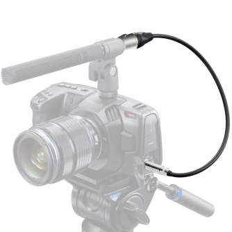 Video vadi, kabeļi - Blackmagic Design Blackmagic Mini XLR Adapter Cables (2 pcs) - ātri pasūtīt no ražotāja