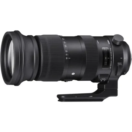 Sigma 60-600mm F4.5-6.3 DG DN OS for L-Mount [Sports]