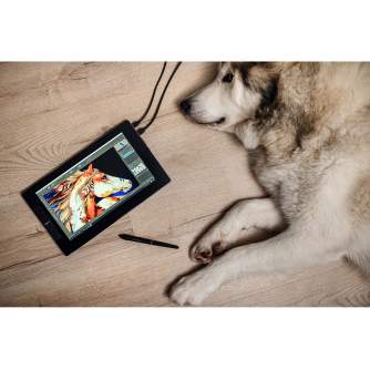 Tablets and Accessories - Veikk graphics tablet VK1200 LCD VE2618 - quick order from manufacturer