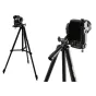 Foto statīvi - Tripod Camrock TA30 Black - ātri pasūtīt no ražotāja