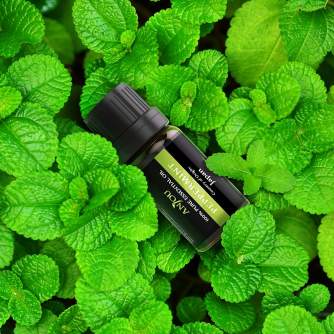 Make-up spoguļi - Essential Oils Set Anjou 100 Pure Top 6 Aromatherapy - ātri pasūtīt no ražotāja
