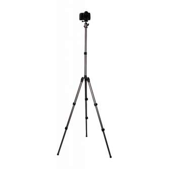 Photo Tripods - Fotopro D-5 tripod with ball head FPH-42Q - quick order from manufacturer