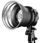 Zibspuldzes ar akumulatoru - Godox AD-P Profoto-mount voor AD200 - быстрый заказ от производителя