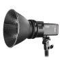 Zibspuldzes ar akumulatoru - Godox AD-P Profoto-mount voor AD200 - быстрый заказ от производителя
