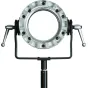 Новые товары - Westcott Zeppelin Speedring & Bracket for Elinchrom - быстрый заказ от производителя