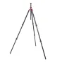 Photo Tripods - 3 Legged Thing Pro 2.0 Winston Bronze Carbon tripod WINSTON2 - quick order from manufacturer