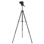 New products - Caruba Blackstar 175 Tripod - quick order from manufacturer