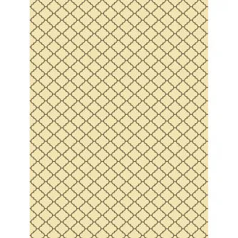 Foto foni - Westcott X-Drop Sienna Modern Vintage Backdrop - ātri pasūtīt no ražotāja