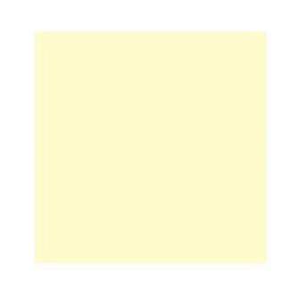 Square and Rectangular Filters - Cokin Filter Z729 Yellow CC (CC50Y) - quick order from manufacturer