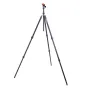 Photo Tripods - 3 Legged Thing Pro 2.0 Winston Carbon tripod & AirHed Pro Grey - quick order from manufacturer