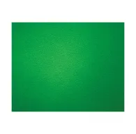 Backgrounds - Westcott Wrinkle-Resistant 2.7 x 6.1m Green Screen Backdrop - quick order from manufacturerBackgrounds - Westcott Wrinkle-Resistant 2.7 x 6.1m Green Screen Backdrop - quick order from manufacturer