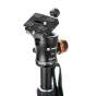 Photo Tripods - Tripod with ball head Fotopro F-64 I-Speedy T5 - quick order from manufacturer