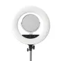 Новые товары - Caruba RGB Round Vlogger 18 inch LED Set with Bag - White - быстрый заказ от производителя